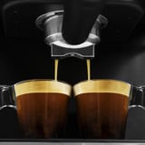 Cecotec 1556, Cafetera espresso acero fino cepillado/Negro