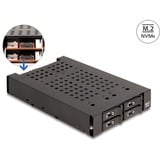DeLOCK Marco extraíble de 3,5″ para 4 x M.2 NVMe SSD, Chasis intercambiable 