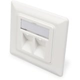 Digitus DN-93801-1 toma de corriente RJ-45 Blanco, Caja de conexiones blanco, RJ-45, Blanco, 80 mm, 5 mm, 80 mm