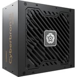 Enermax EMB750EWT-NAC, Fuente de alimentación de PC 