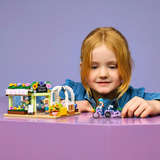 LEGO 42693, Juegos de construcción 