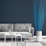Rowenta Pure Air City PU2840, Purificador de aire blanco