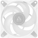 ARCTIC P12 PWM PST A-RGB 0dB 3er 120x120x25, Ventilador blanco/Transparente