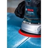 Bosch Expert Discos de lija C470, Hoja de lija 50 pieza(s)