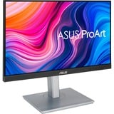 ASUS PA247CV 60,5 cm (23.8") 1920 x 1080 Pixeles Full HD LED Negro, Plata, Monitor LED negro/Plateado, 60,5 cm (23.8"), 1920 x 1080 Pixeles, Full HD, LED, 5 ms, Negro, Plata