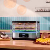 Cecotec 04949, Secado de la máquina acero fino/Transparente