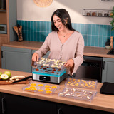 Cecotec VitaDry Pro Deshidratador, Secado de la máquina acero fino/Transparente