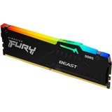 Kingston FURY KF552C36BBEA-8, Memoria RAM negro