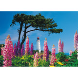 Schmidt Spiele 58067, Puzzle 