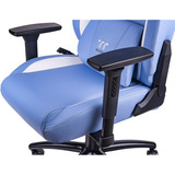 Thermaltake GGC-VCO-LWLWDS-01, Asientos de juego azul/blanco