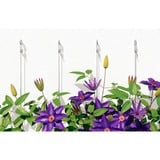 fischer Taco para hormigón celular GB 14, Pasador gris claro