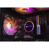 ALTERNATE AGP-SPECIAL-INT-006, Gaming-PC negro/Transparente