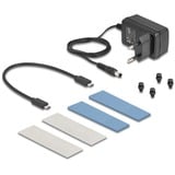 DeLOCK Carcasa USB externa 20 Gbps para 2 x M.2 NVMe PCIe SSD, Caja de unidades gris