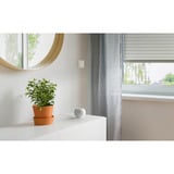 eve Shutter Switch, Interruptor blanco