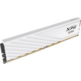 ADATA AX5U6000C3032G-SLABWH, Memoria RAM blanco