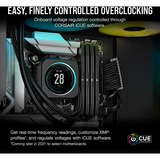 Corsair CMK32GX5M2E6200C36, Memoria RAM negro