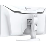 EIZO FlexScan EV3450XC-WT pantalla para PC 86,6 cm (34.1") 3440 x 1440 Pixeles UltraWide Quad HD LED Blanco, Monitor LED blanco, 86,6 cm (34.1"), 3440 x 1440 Pixeles, UltraWide Quad HD, LED, 5 ms, Blanco