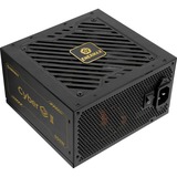 Enermax ERV1000G-AHG-MAC, Fuente de alimentación de PC 