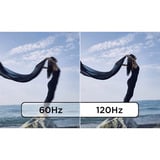 Lenovo T24D-40(A25238FT1), Monitor LED negro