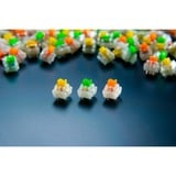 Razer Yellow Switch-Set, Interruptor de botón amarillo/Transparente