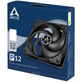 ARCTIC P12 Carcasa del ordenador Ventilador 12 cm Negro negro, Ventilador, 12 cm, 1800 RPM, 0,3 sonio, 56,3 cfm, 95,65 m³/h