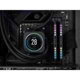 Corsair CMT32GX5M2B5200Z40, Memoria RAM gris