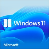 Microsoft Windows 11 Home 1 licencia(s), Software 1 licencia(s), 64 GB, 4096 GB, 1000 GHz, Alemán, DVD