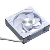Phanteks D30-120 PWM Reverse DRGB, Ventilador blanco