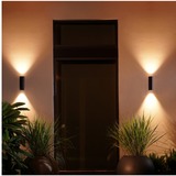 Philips Hue Aplique mural para exteriores Appear, Luz de LED negro, Philips Hue White and Color ambiance Aplique mural para exteriores Appear, Aplique de pared para exterior, Negro, LED, Bombilla(s) no reemplazable(s), Variable, 2000 K