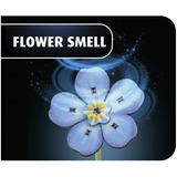 Revell Blossom Festival flores de madera, Manualidades madera, Minorista