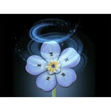 Revell Blossom Festival flores de madera, Manualidades madera, Minorista