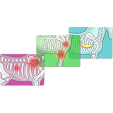 Schleich Horse Club Clínica Equina "Casco Sanador", Juego de construcción 