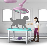 Schleich Horse Club Clínica Equina "Casco Sanador", Juego de construcción 