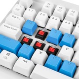 Sharkoon SAC14 PBT Tecla, Cubierta de teclado azul, Tecla, Azul