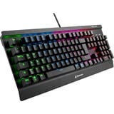 Sharkoon SKILLER MECH SGK3 teclado USB Alemán Negro, Teclado para gaming negro, Completo (100%), Alámbrico, USB, Interruptor mecánico, LED RGB, Negro