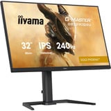 iiyama GB3290QSU-B1, Monitor de gaming negro (mate)