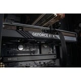 ALTERNATE AGP-SILENT-AMD-001, Gaming-PC negro/Transparente