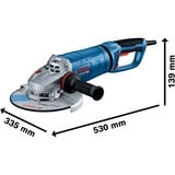 Bosch GWS 27-230 PR Professional, 06018C7100, Amoladora angular azul