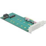 DeLOCK 89047 tarjeta y adaptador de interfaz Interno M.2, SATA, Controlador PCIe, M.2, SATA, Perfil bajo, PCIe 4.0, 5 - 50 °C, -25 - 70 °C