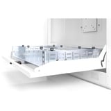 Digitus Carcasa de pared para DVR, Armario IT gris claro