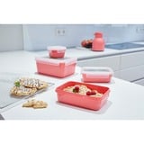 Emsa Clip & Close Rectangular Establecer Coral 4 pieza(s), Caja Coral/Transparente, Establecer, Rectangular, Coral, Polipropileno (PP), Elastómero termoplástico (TPE), Alemania, 200 ml