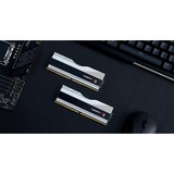 G.Skill F5-6800J3445G16GX2-TZ5RS, Memoria RAM plateado