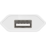 goobay Kit de carga USB-C 5 vatios, Cargador blanco