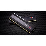 G.Skill F5-8000J3848F24GX2-TZ5RK, Memoria RAM negro