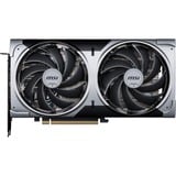 MSI V532-003R, Tarjeta gráfica 