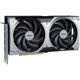 MSI V532-003R, Tarjeta gráfica 