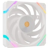 Valkyrie X12F ARGB 120, Ventilador blanco