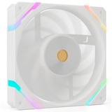 Valkyrie X12F ARGB 120, Ventilador blanco