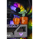 ALTERNATE ALT-ICUECS-INT-001, Gaming-PC negro/Transparente