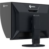 EIZO CG2400SV, Pantalla de gran formato negro